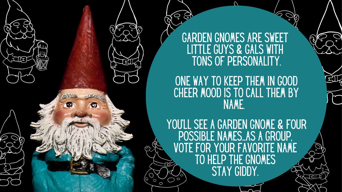 Gname Da Gnome image number null